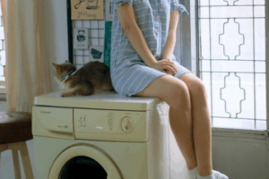 Máquina de Lavar Electrolux 15kg Essential Care vale a pena em 2026?