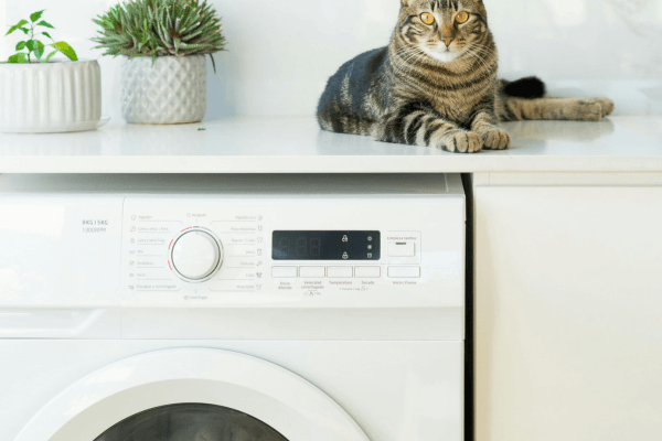 Samsung Lavadora WW11T Inox Black 11kg Digital Inverter: Vale a Pena em 2026?